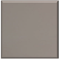  Искусственный камень Dupont Corian Distinct Tan