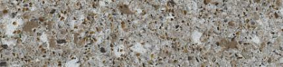 Искусственный камень Silestone Forest Snow