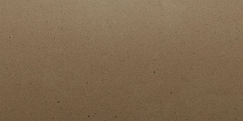Искусственный камень Silestone Toffe