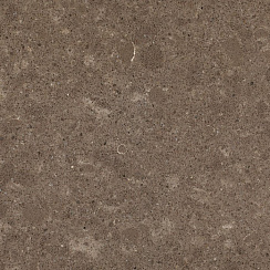 Искусственный камень CAESARSTONE 4360 Wild Rice