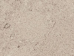 Искусственный камень CAESARSTONE 4230 Shitake