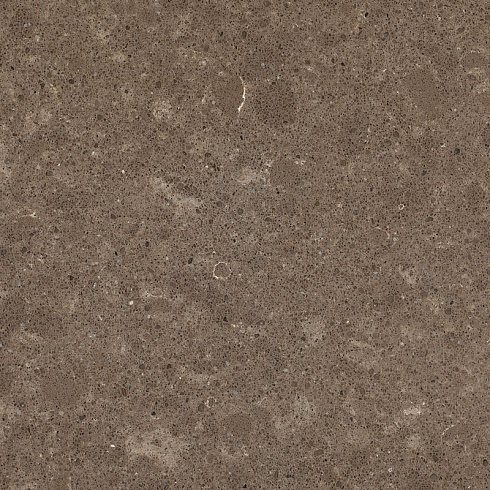 Искусственный камень CAESARSTONE 4360 Wild Rice